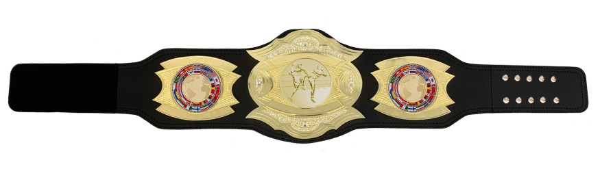 *NEW* PROGEMELITE THAI BOXING CHAMPIONSHIP BELT - PROGEMELITE/G/TBOG *NEW* PROGEMELITE THAI BOXING CHAMPIONSHIP BELT - PROGEMELITE/G/TBOG